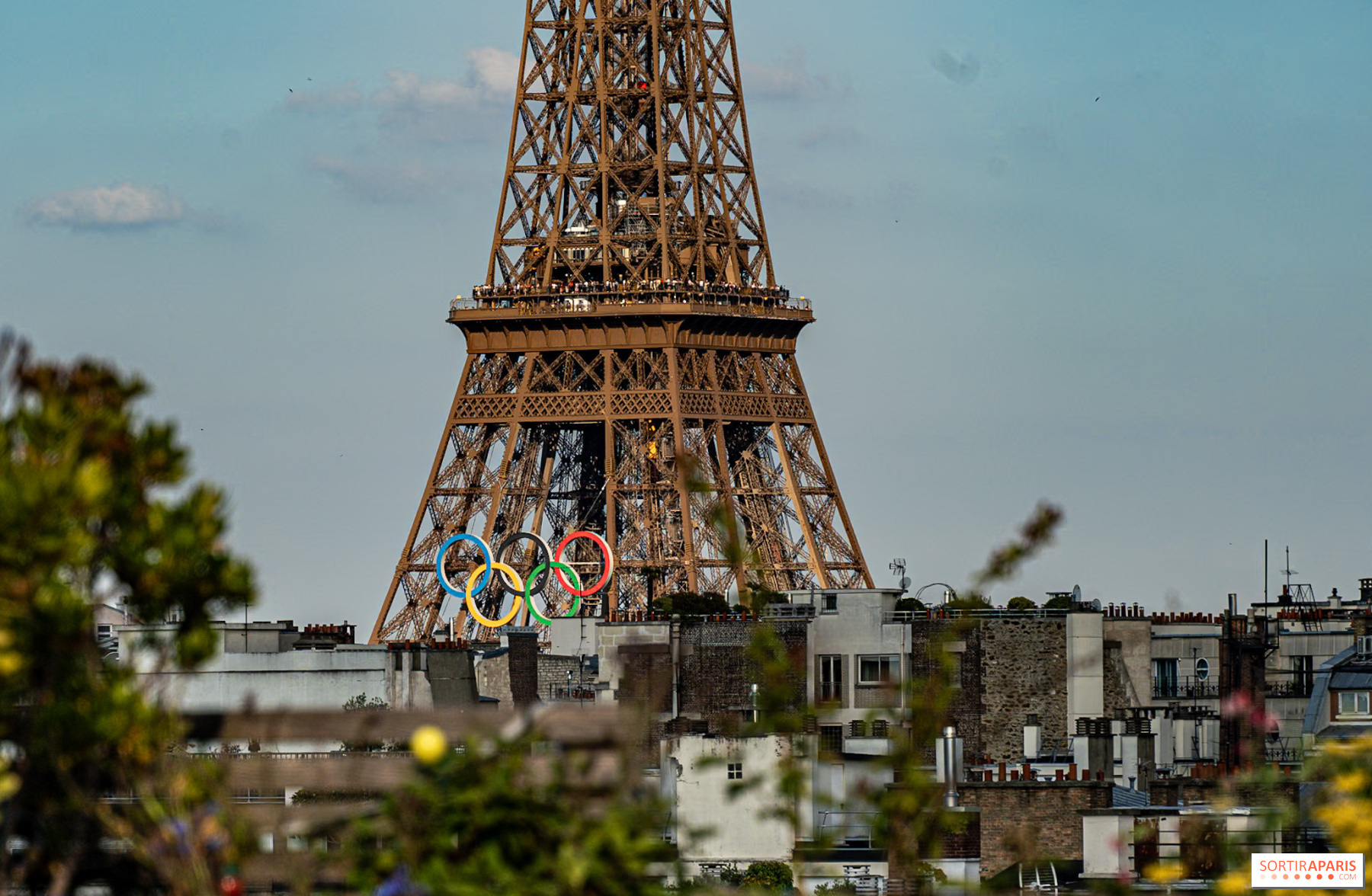 2024 年巴黎奥运会：奥运会门票和二维码，如何获取、为谁获取以及为了什么？我们告诉你一切